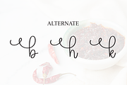 Spicyhot | Script Font, a Handwritten Font by Scratchones (Thumbnail 8 of 9)