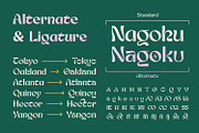 Nagoku Font Family, a Sans Serif Font by Asenbayu (Thumbnail 10 of 14)