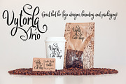Vytorla Font Trio, a Script Font by Digital Typeface Studio (Thumbnail 6 of 11)