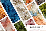 80 Biophilic backgrounds, a Background Graphic by Polli Deeva (Thumbnail 2 of 16)