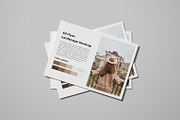 A5 Flyer Landscape Mockup, a Product Mockup by graphicsecond (Thumbnail 11 of 11)