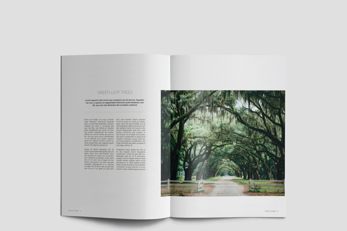 Nature Magazine, a Magazine Template by Alhaytar (Photo 3 of 15)