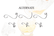 Whiskey | Script Font, a Handwritten Font by Scratchones (Thumbnail 8 of 9)