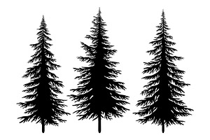 Set of Christmas Trees