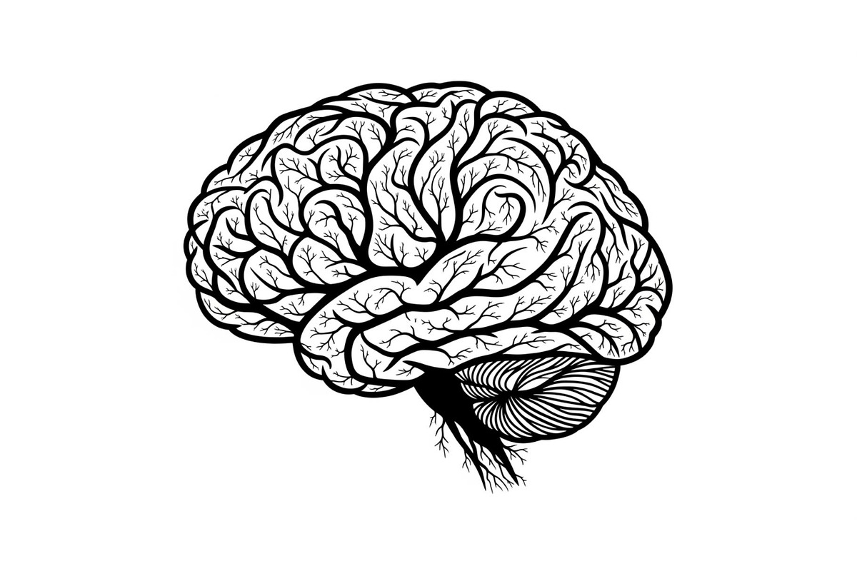 Brain Tree Knowledge Design Bundle, an Illustration by Gaye Art (Photo 25 of 31)