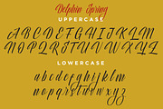 Delphin Spring - Vintage Script, a Script Font by Konstantine Studio (Thumbnail 9 of 9)