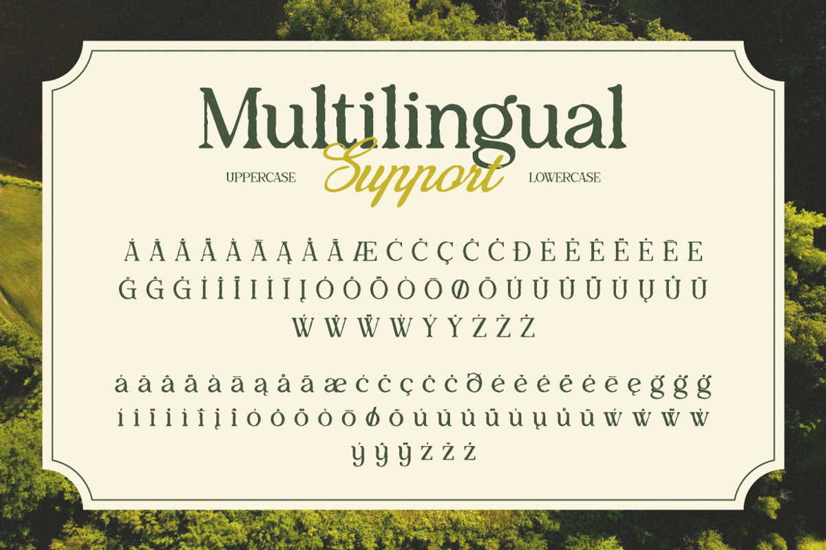 Anavel Elegance, a Serif Font by Burntilldead (Photo 10 of 11)