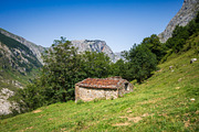 Mountain landscape and sheepfold, Picos de Europa, Asturias, Spa, a Nature Photo by GoodGoods (Thumbnail 5 of 5)