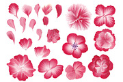 150 One stroke flowers style., a Decorative Illustration by redstudio (Thumbnail 2 of 7)