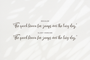 Zaddera - A Stylish Script Font