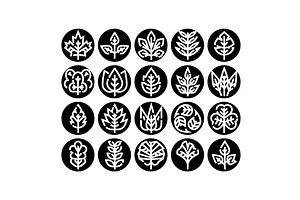 Collection of various nature leaf, an Object Illustration by pikepicture