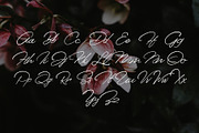 Senja script font, a Script Font by Emyself Design (Thumbnail 2 of 7)