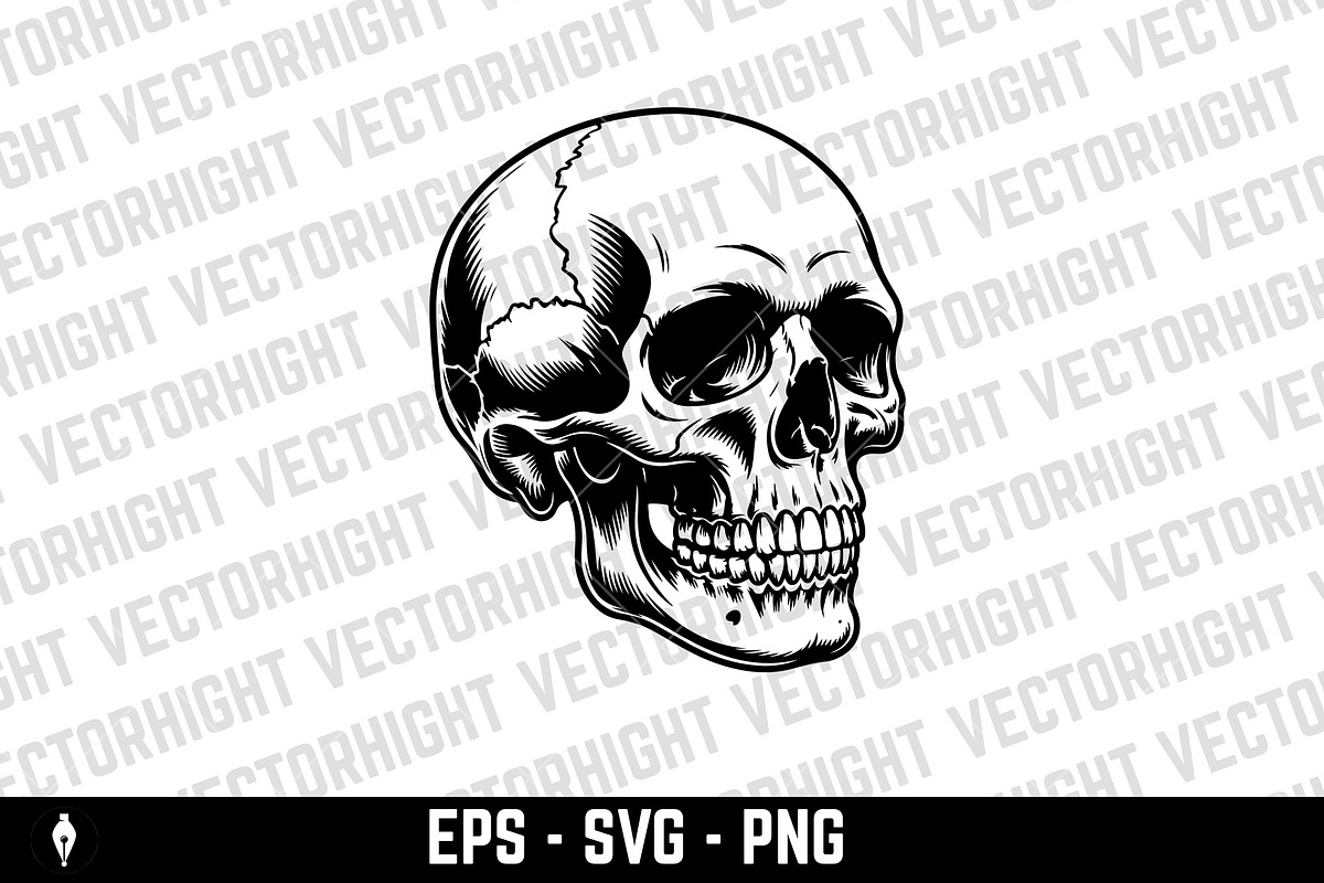 human skull, an Object Illustration by Vectorhight (Photo 3 of 3)