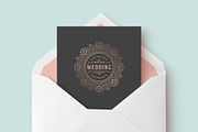 230 Wedding Overlays and Titles, an Invitation Template by Vasya Kobelev (Thumbnail 28 of 47)