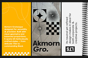 Akmorn Grotesque | Intro 60% OFF, a Sans Serif Font by Lettertype Studio (Thumbnail 2 of 15)