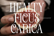 Ledira | Display Serif Font, a Serif Font by Denustudios (Thumbnail 4 of 15)