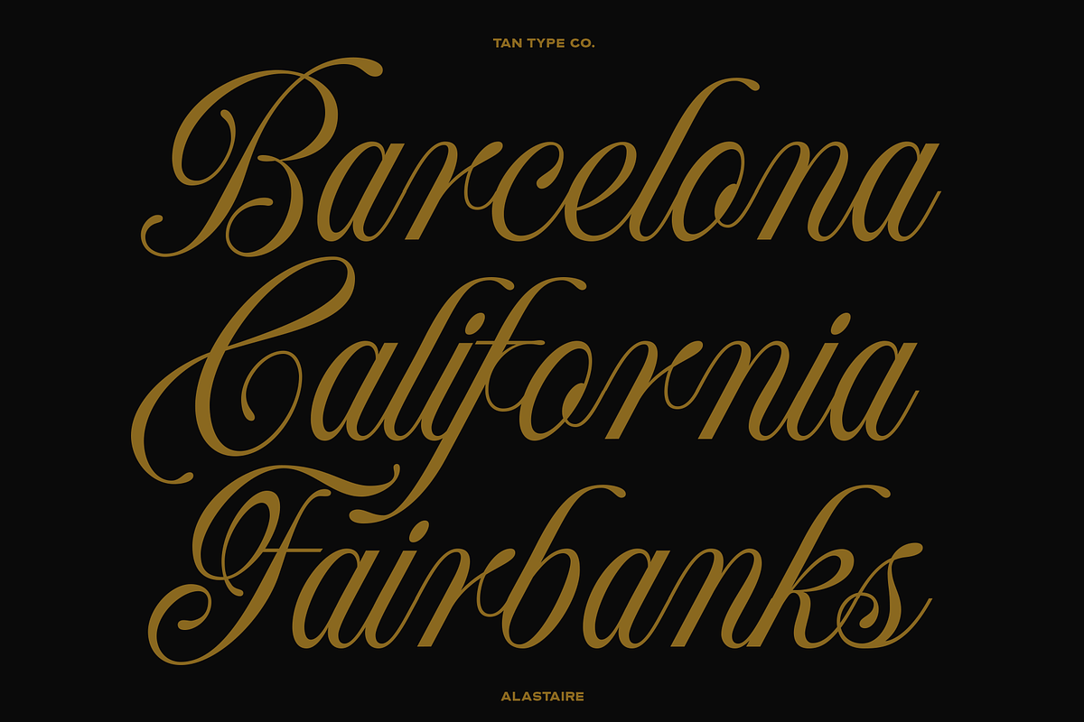 TAN - ALASTAIRE, a Script Font by TanType (Photo 2 of 10)