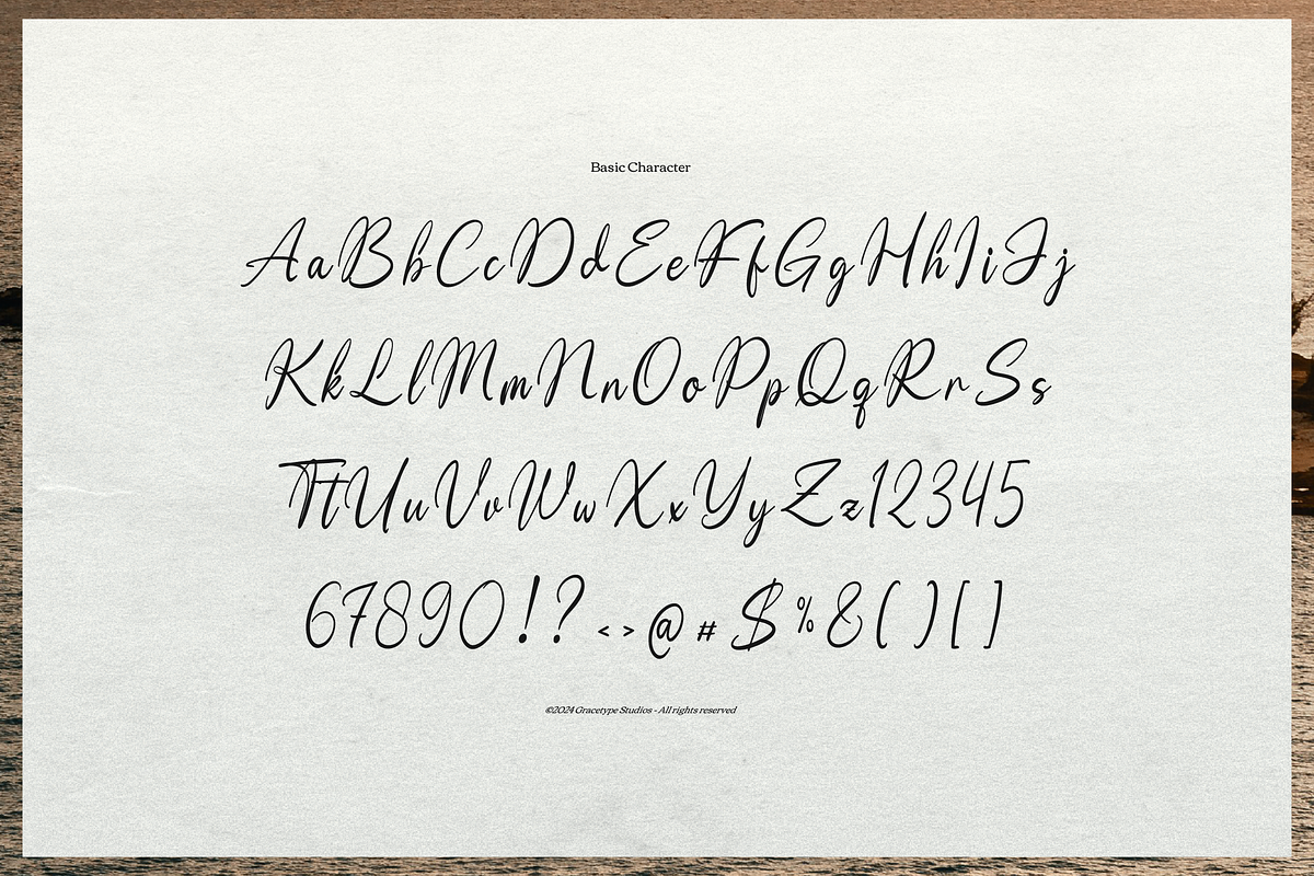 Moonlit Muse Handwritten Script Font, a Script Font by gracetype_studio (Photo 10 of 12)