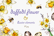 daffodil flower, an Illustration by OlyaSenko (Thumbnail 1 of 7)