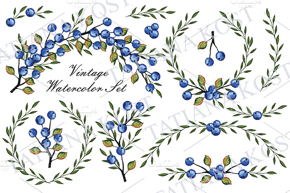 Watercolor set.Blue berries,branches preview 3