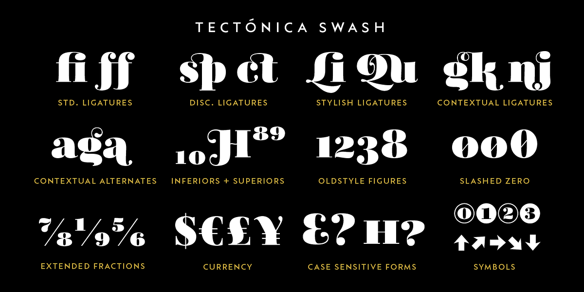 Tectónica, a Serif Font by Untype (Photo 11 of 14)