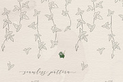 Line drawing Ivy plant illustrations, an Illustration by Olya Creative (Thumbnail 3 of 3)