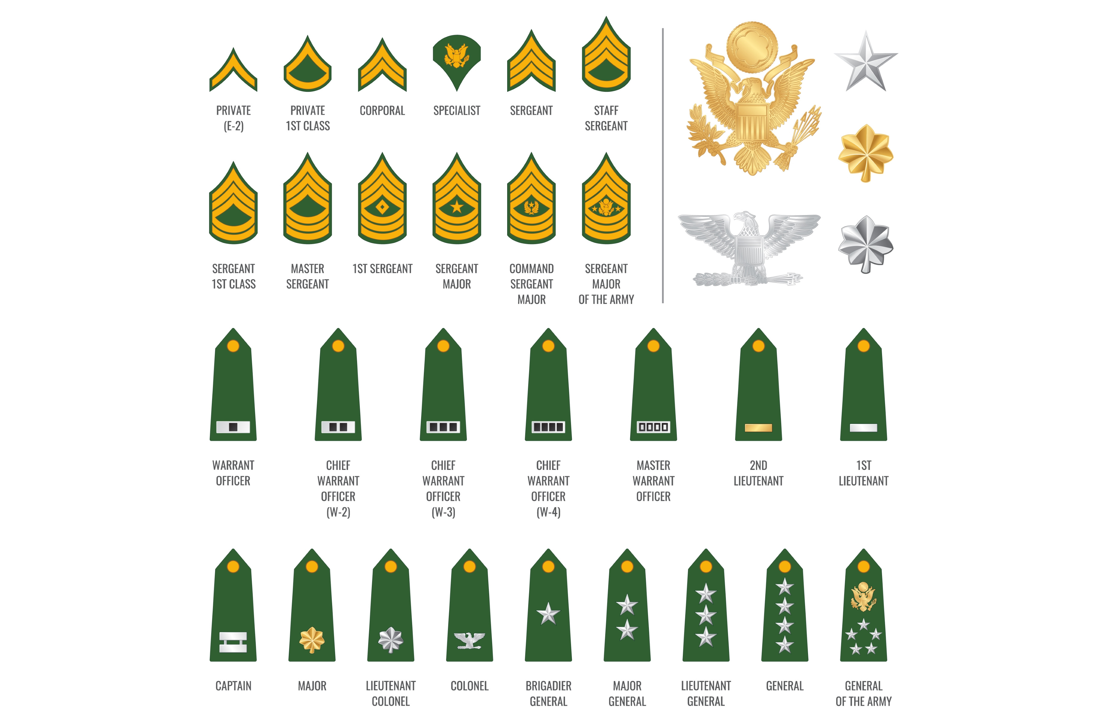 Military ranks shoulder badges, a Work Illustration by Vector Tradition