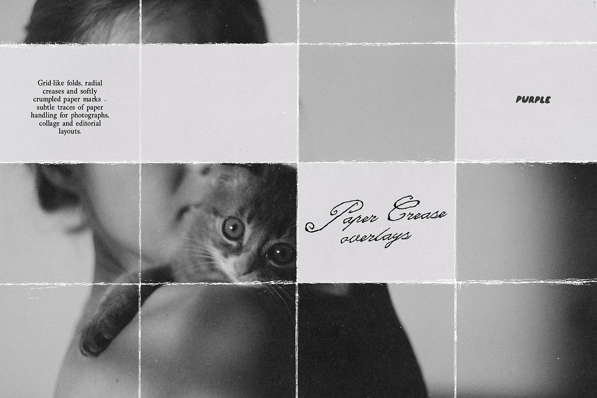 Paper Crease Overlays, a Texture Graphic by Purple (Photo 13 of 13)