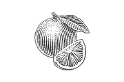 Strawberry and Orange, a Food Illustration by Irina Trusova (Thumbnail 3 of 5)