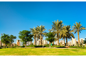 Boulevard park in salmiya kuwait featuring kuwait, city, and boulevard, a Nature Photo by Leonid Andronov