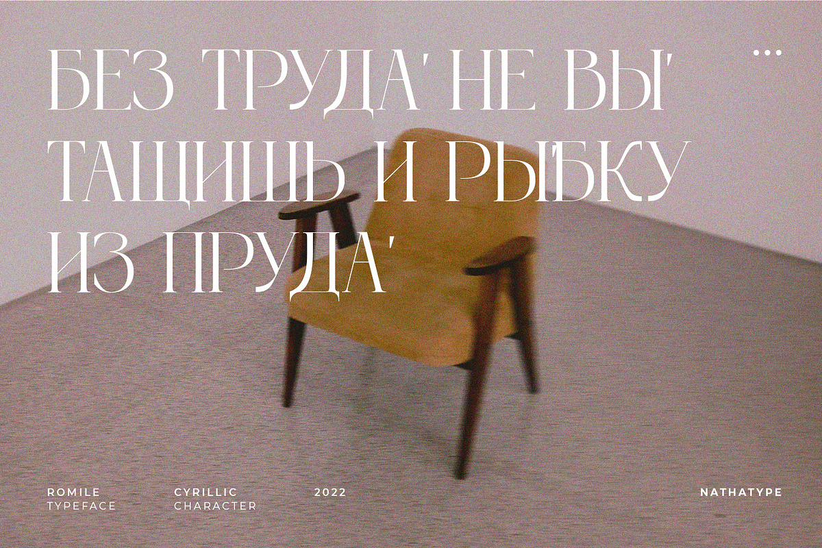 Romile, a Serif Font by Nathatype (Photo 7 of 12)