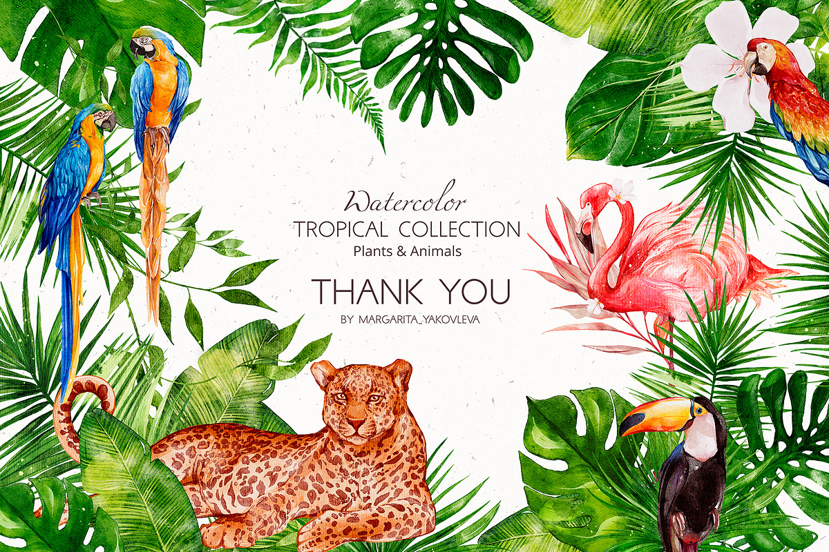 Tropical Collection Watercolor, a Decorative Illustration by Yakovleva Margarita (Photo 20 of 20)