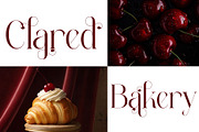 Replice Modern Elegant Serif, a Serif Font by Alfinart (Thumbnail 11 of 11)