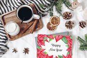 Christmas Red Poinsettia PNG, an Illustration by svetodesign (Thumbnail 5 of 5)