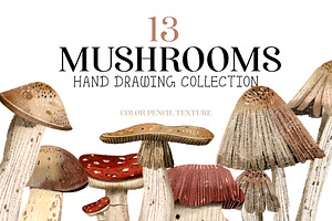 mushrooms clip art hand drawing