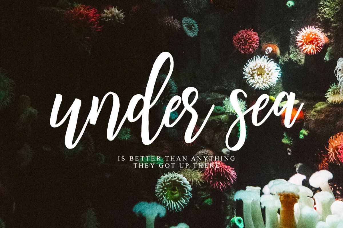 Denarrio Script 80%off preview 7