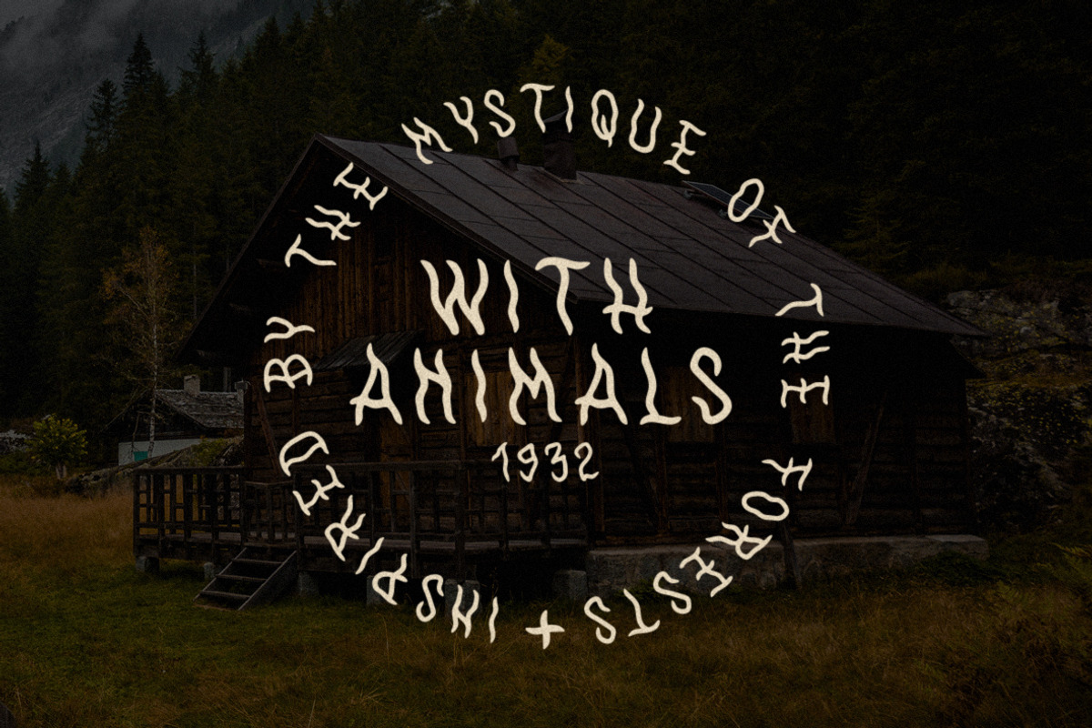 WithAnimals Font, a Handwritten Font by Towards The North (Photo 6 of 8)