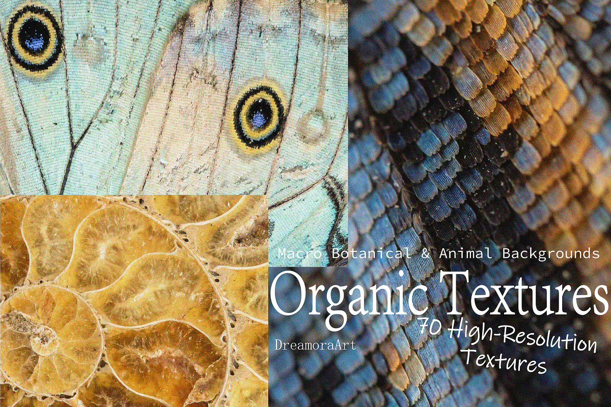 Organic Nature Backgrounds - 70 JPG, a Background Graphic by DreamoraArt