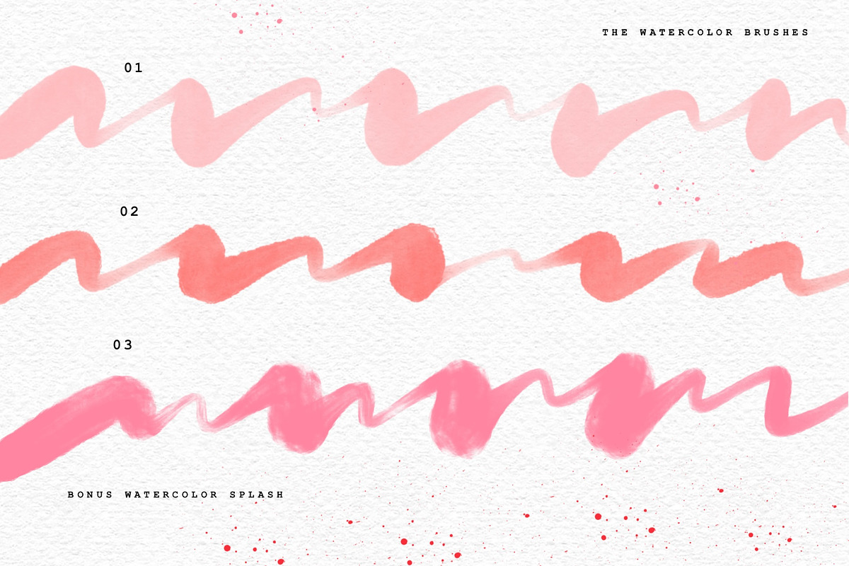 Calligraphy and Lettering Brushes, a Brush Add-On by Darla Studio (Photo 9 of 18)