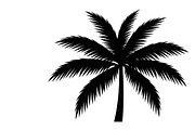 Stylish tropical palm wall decor, an Illustration by Amazin_art (Thumbnail 22 of 33)