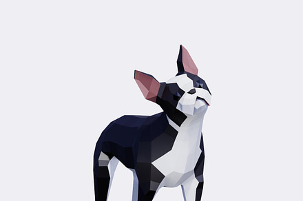 Low Poly Boston Terrier Dog, an Animal 3D Model by Studio Ochi