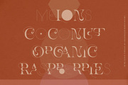 More Aloof Typeface Font, a Serif Font by Creativeqube Design (Thumbnail 7 of 14)
