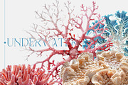 Fantastic Corals, an Object Graphic by Freezerondigital (Thumbnail 7 of 10)