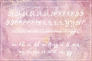 Eiffell Brush Script Font + Extras, a Script Font by Design Panoply (Thumbnail 3 of 11)
