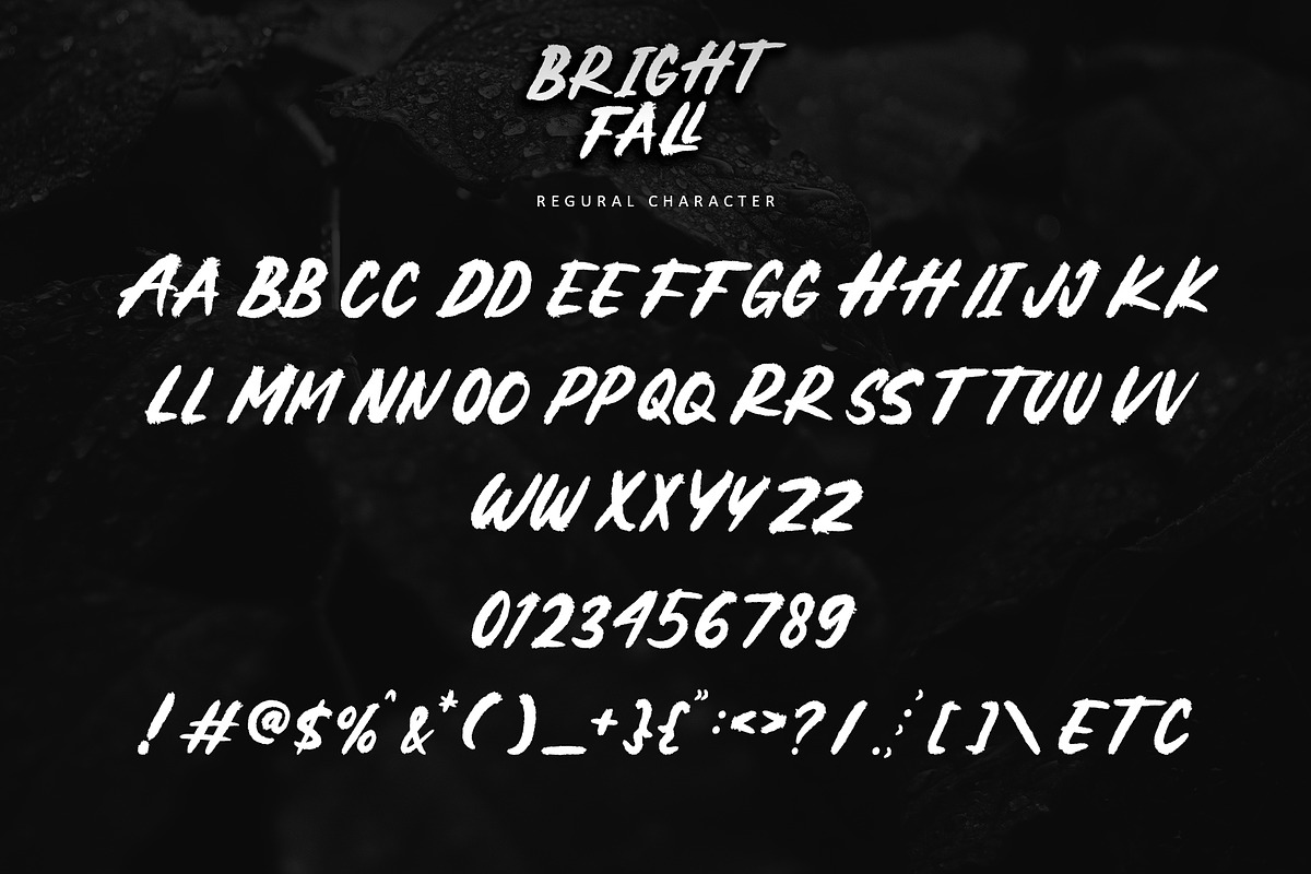 Brightfall, a Handwritten Font by Letterara (Photo 6 of 8)