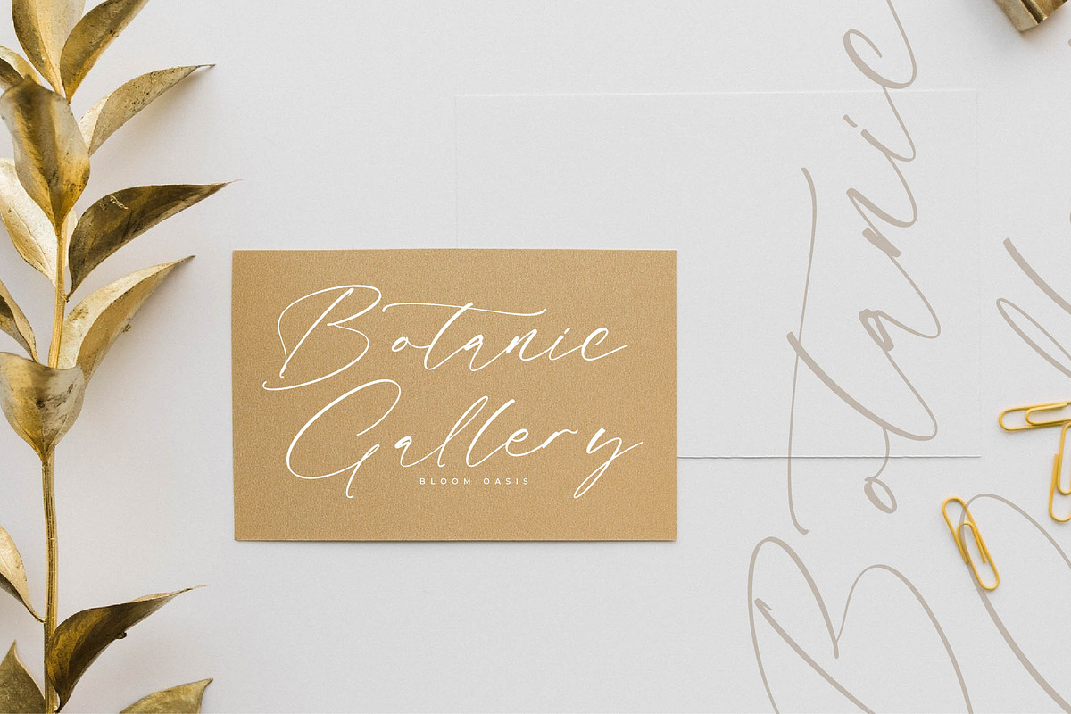 Fasttelo Engelliy Elegant Script, a Script Font by Letterena Studios Script (Photo 5 of 15)