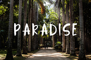 Jungle Display Font, a Script Font by Nadezda (Thumbnail 5 of 8)