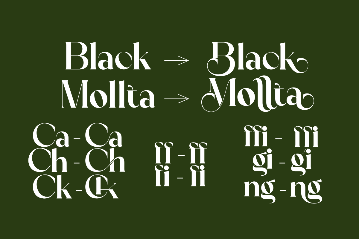 Black Mollta, a Serif Font by zaaintype (Photo 2 of 11)