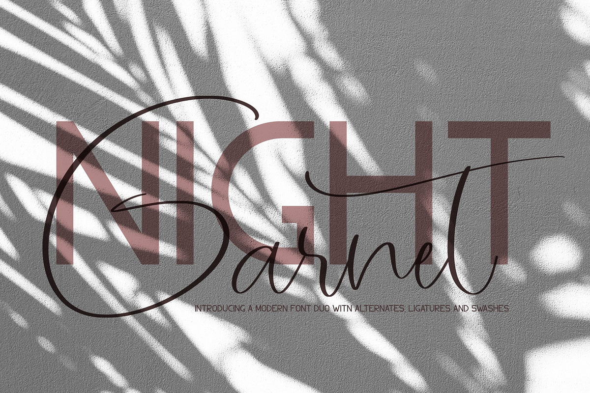 Font Bundle.Fonts & Extras preview 4
