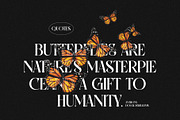 Santiago Vintage Serif Font, a Serif Font by Graphicxell (Thumbnail 2 of 10)